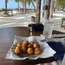 위드푸르츠 | Gili Lankanfushi 💚 3일차 - 오가닉가든, 쿠킹 클래스, 칵테일 파티, 브라질 뷔페 (내돈내산 추천후기)