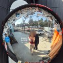 GS사천바다점 | [강릉 사천해변 햄버거] 강릉 해안도로 드라이브와 데이트로 딱인 모아나버거🍔