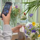 힐링플라워 클래스 이미지