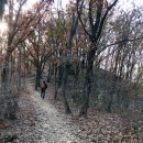 봄커뮤니케이션 이미지