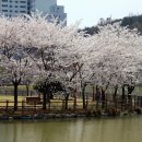 운천저수지 이미지