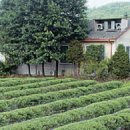 제형농장 이미지