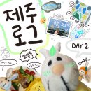올레요리조트 | 2 (그라벨호텔조식먹기/베이커블/이익새양과점/오설록티뮤지엄/서귀포올레시장/우정회센타/할머니오메기떡)