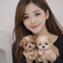 신도시켄넬 네이버블로그