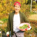 조동일농장 이미지