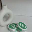 쭈스타 | 금연 도전 니코틴파우치 ZZU 쭈 솔직 후기
