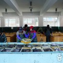 외포항2 이미지