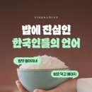 밥에 진심 이미지