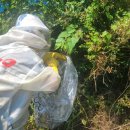 서천소방서-18 이미지