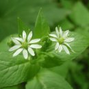 푸른금산어린이집 이미지