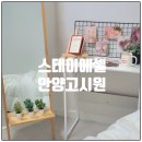 스테이에셀 이미지