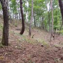 산골농장 이미지