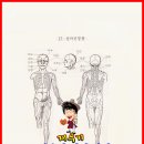 17. 삼차신경통 - 봉침효능,벌침가격,봉침의효과,벌침부작용,봉침자격증,벌침과정력,봉침후기,벌침이야기,봉침구입,벌침놓는법배우기,벌파는곳,벌침정력 이미지