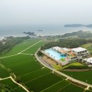 엘리스테이보령 이미지