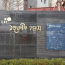 천년나무7 A 이미지