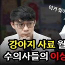수의사 둘이서 가성비를 고려하지 않은 강아지 사료 티어리스트 뽑아봄 이미지