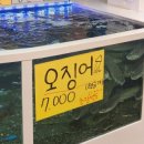 금명수산 네이버블로그