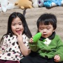 영 앤 카우 이미지