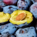 청산동물병원 이미지