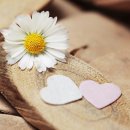 용강초교병설유치원 이미지