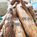 산드리약초 이미지