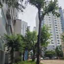 우성탑공인중개사사무소 이미지