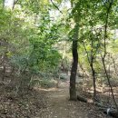 머내과학 공원 이미지