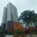 분당탑주유소 이미지