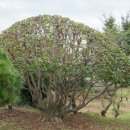 소사농원 이미지