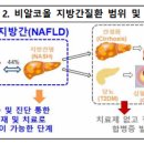 비알코올지방간질환(NAFLD, non-alcoholic fatty liver disease) 이란? 이미지