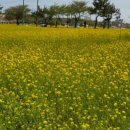 장독민박 이미지