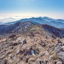 (주)덕유 | 이 마음만큼이나 메말랐던 겨울 덕유~ (2026.1.17.)