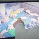 한국가축컨설팅 이미지