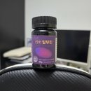 리버식품 | 좋은습관 리버 알부민 건강기능식품 추천템 후기 ft. 직장인 만성피로