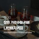 더치나인 앞 횡단보도 | 창원 가로수길 카페 나인배치커피 에서 즐기는 오늘 하루 특별한 경험