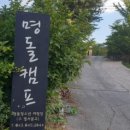 명돌캠프 이미지