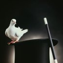 강서노인종합복지관 이미지