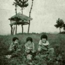 오늘의 역사(7월 30일) 이미지