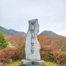 성주봉쉼터휴게소 | 고흥 팔영산 마지막 단풍산행 후기-221120