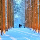 소양강카서비스 이미지