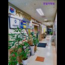 한일영어훈련소학원 | {서울, 강동, 영어학원, 토익, 토플, 회화, 추천!} 한일어학원 서울 강동 영어학원 추천