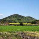 돗오름 주차장 이미지