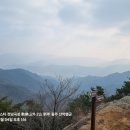 구례-01호 네이버블로그