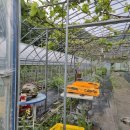 사과집민박 이미지