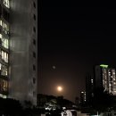 이마트24 수성매호대로점