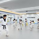 운정 태권도장 이미지