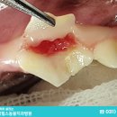 믿음 Dental 이미지
