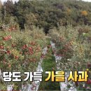 청명농장 이미지