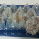 해수피아 이미지