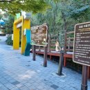 구포무장애숲길 주차장 화장실 이미지